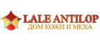 Логотип Lale Antilop